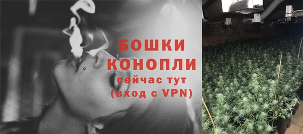 молекула духа Баксан
