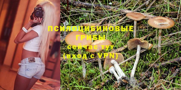 молекула духа Баксан