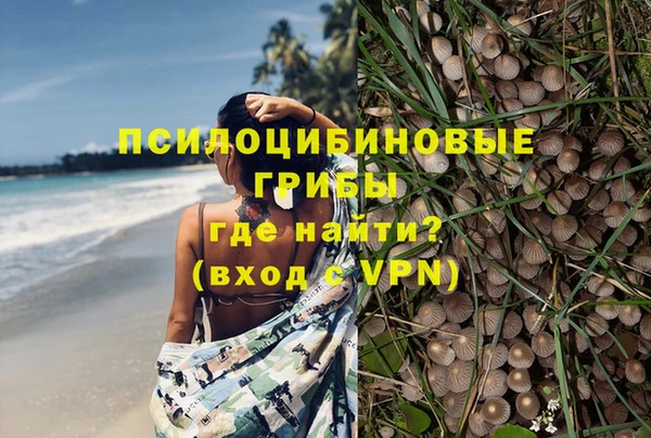 молекула духа Баксан