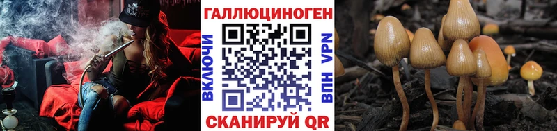 Купить где  Верхоянск  Галлюциногенные грибы мицелий 