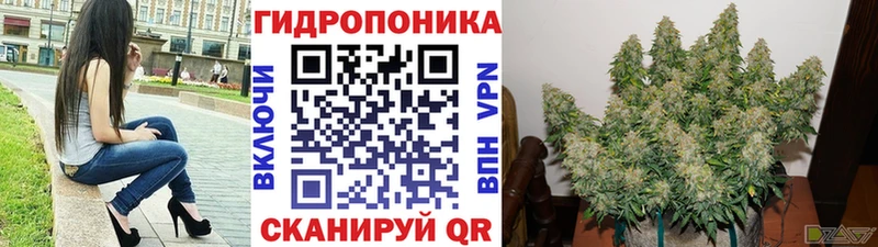 Купить где  Верхоянск  Марихуана Amnesia 